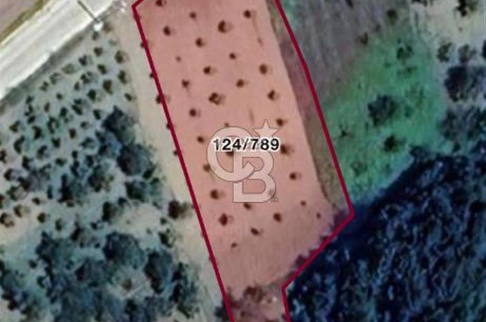 Akçatta, Yola Cepheli ve Suyu Bulunan 1750 m2 Satılık Tarla!