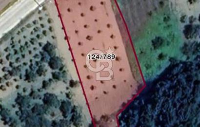 Akçatta, Yola Cepheli ve Suyu Bulunan 1750 m2 Satılık Tarla!