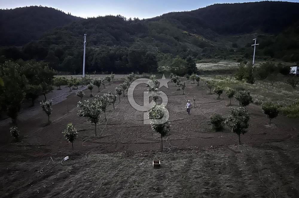 Akçatta, Yola Cepheli ve Suyu Bulunan 1750 m2 Satılık Tarla!