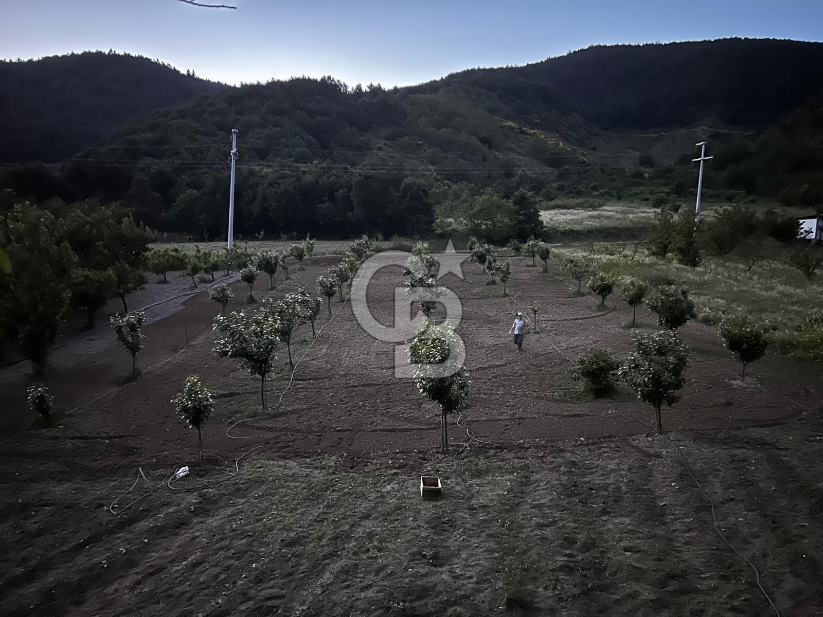 Akçatta, Yola Cepheli ve Suyu Bulunan 1750 m2 Satılık Tarla!