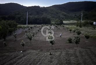 Akçatta, Yola Cepheli ve Suyu Bulunan 1750 m2 Satılık Tarla! - 1 - 317094