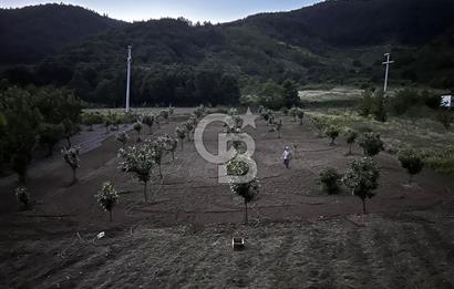 Akçatta, Yola Cepheli ve Suyu Bulunan 1750 m2 Satılık Tarla!
