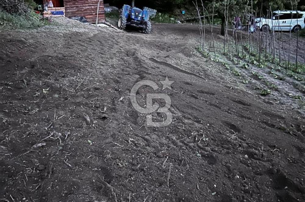 Akçatta, Yola Cepheli ve Suyu Bulunan 1750 m2 Satılık Tarla!