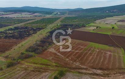 Çanakkale Biga Kocagür Köyünde Satılık 6.500 m2 Fırsat Tarla!!!