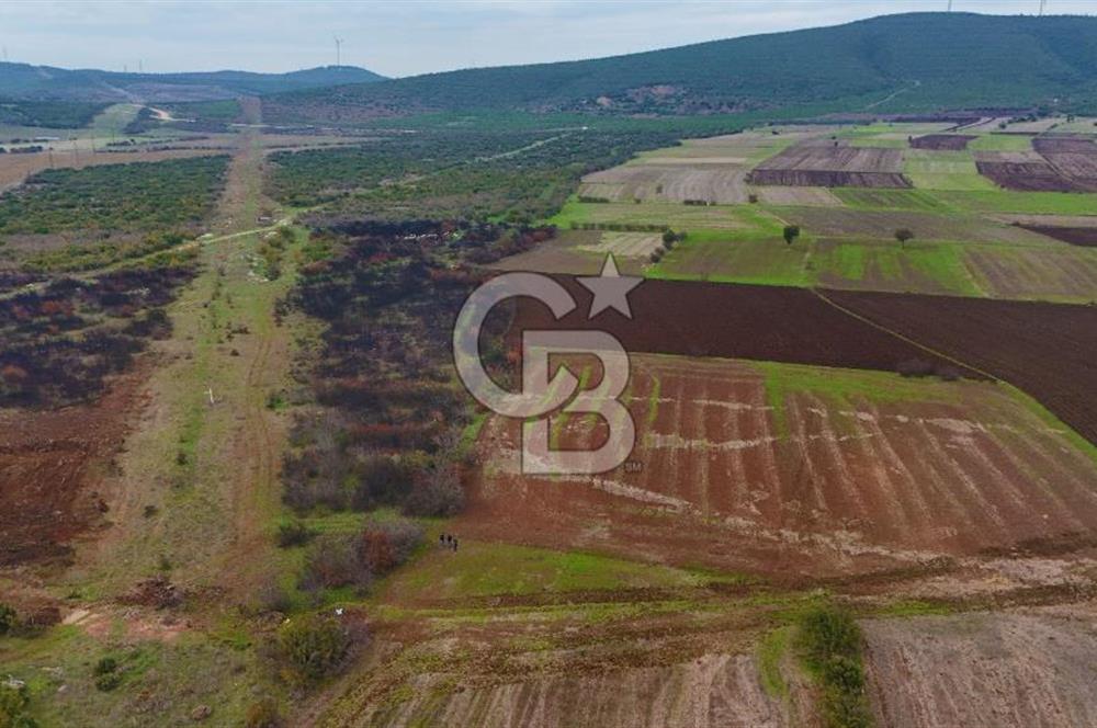 Çanakkale Biga Kocagür Köyünde Satılık 6.500 m2 Fırsat Tarla!!!