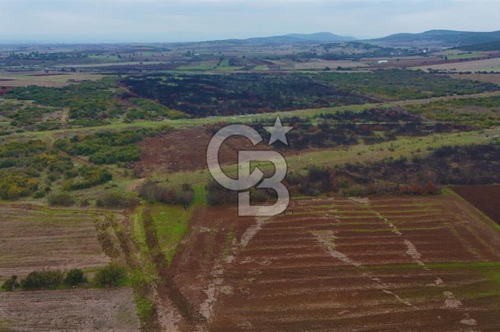 Çanakkale Biga Kocagür Köyünde Satılık 6.500 m2 Fırsat Tarla!!!