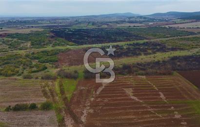 Çanakkale Biga Kocagür Köyünde Satılık 6.500 m2 Fırsat Tarla!!!