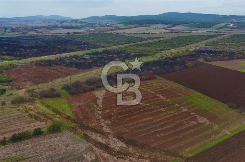 Çanakkale Biga Kocagür Köyünde Satılık 6.500 m2 Fırsat Tarla!!!