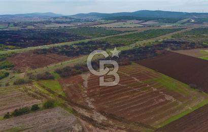 Çanakkale Biga Kocagür Köyünde Satılık 6.500 m2 Fırsat Tarla!!!