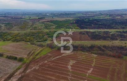 Çanakkale Biga Kocagür Köyünde Satılık 6.500 m2 Fırsat Tarla!!!