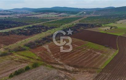 Çanakkale Biga Kocagür Köyünde Satılık 6.500 m2 Fırsat Tarla!!!