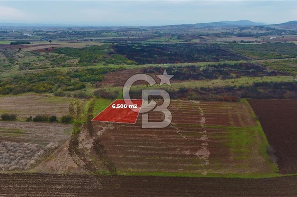 Çanakkale Biga Kocagür Köyünde Satılık 6.500 m2 Fırsat Tarla!!!