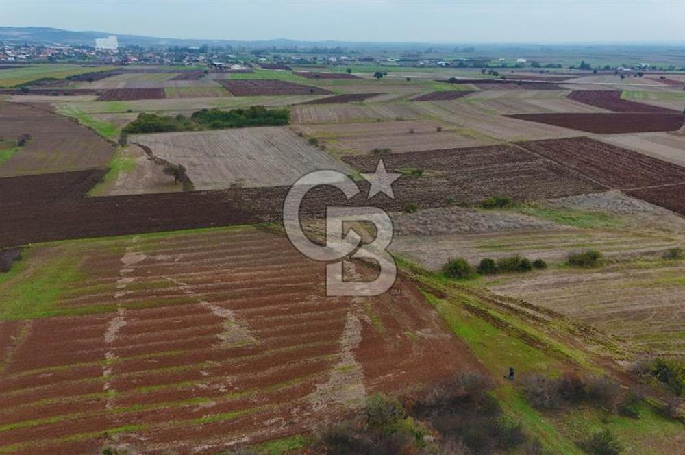 Çanakkale Biga Kocagür Köyünde Satılık 6.500 m2 Fırsat Tarla!!!