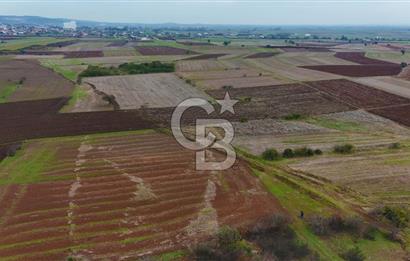 Çanakkale Biga Kocagür Köyünde Satılık 6.500 m2 Fırsat Tarla!!!