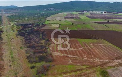 Çanakkale Biga Kocagür Köyünde Satılık 6.500 m2 Fırsat Tarla!!!