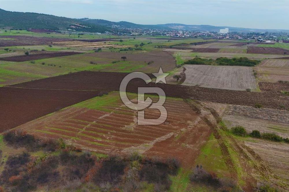 Çanakkale Biga Kocagür Köyünde Satılık 6.500 m2 Fırsat Tarla!!!
