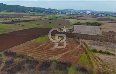 Çanakkale Biga Kocagür Köyünde Satılık 6.500 m2 Fırsat Tarla!!!