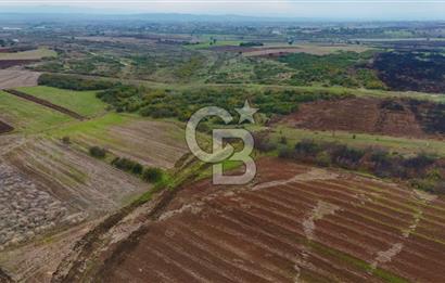 Çanakkale Biga Kocagür Köyünde Satılık 6.500 m2 Fırsat Tarla!!!