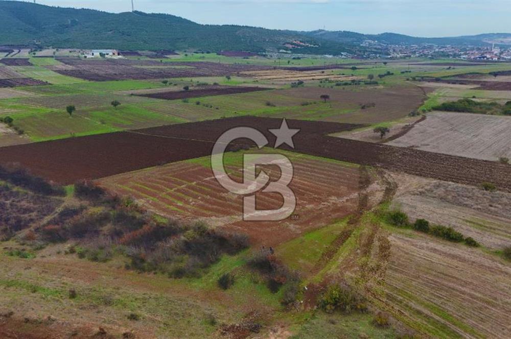 Çanakkale Biga Kocagür Köyünde Satılık 6.500 m2 Fırsat Tarla!!!