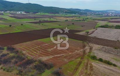 Çanakkale Biga Kocagür Köyünde Satılık 6.500 m2 Fırsat Tarla!!!