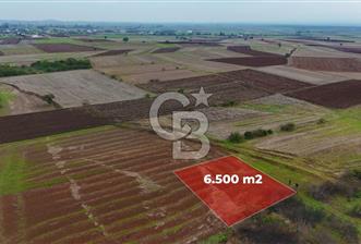 Çanakkale Biga Kocagür Köyünde Satılık 6.500 m2 Fırsat Tarla!!! - 1 - 317079