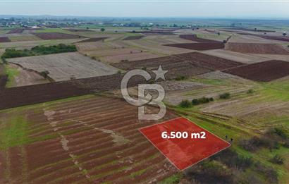 Çanakkale Biga Kocagür Köyünde Satılık 6.500 m2 Fırsat Tarla!!!