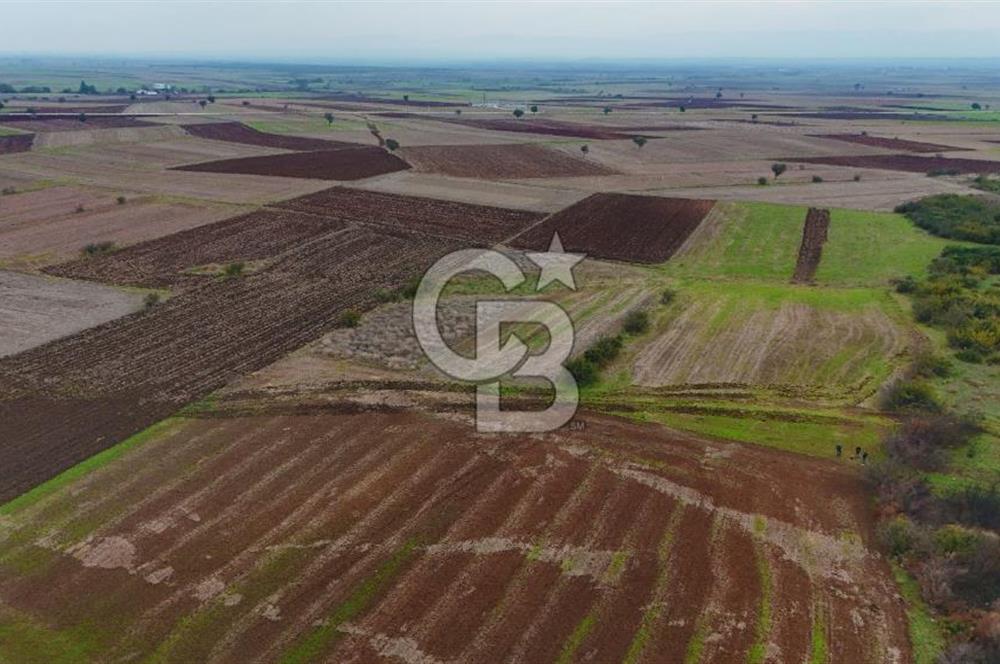 Çanakkale Biga Kocagür Köyünde Satılık 6.500 m2 Fırsat Tarla!!!
