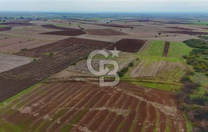 Çanakkale Biga Kocagür Köyünde Satılık 6.500 m2 Fırsat Tarla!!!