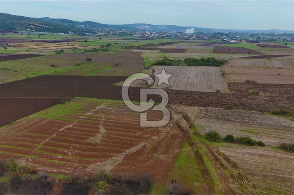 Çanakkale Biga Kocagür Köyünde Satılık 6.500 m2 Fırsat Tarla!!!