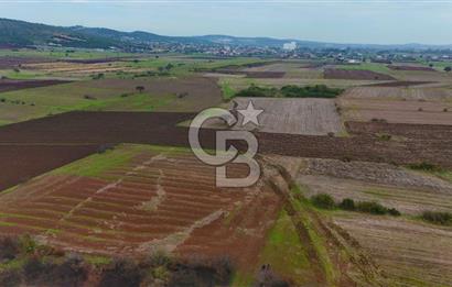 Çanakkale Biga Kocagür Köyünde Satılık 6.500 m2 Fırsat Tarla!!!
