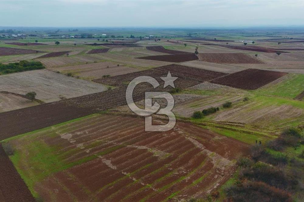 Çanakkale Biga Kocagür Köyünde Satılık 6.500 m2 Fırsat Tarla!!!