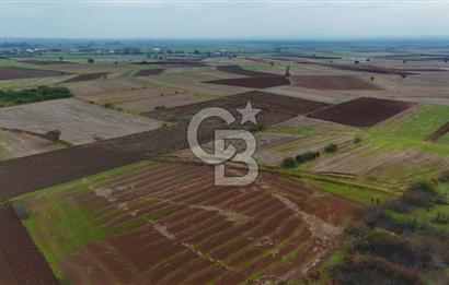 Çanakkale Biga Kocagür Köyünde Satılık 6.500 m2 Fırsat Tarla!!!