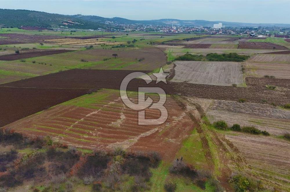 Çanakkale Biga Kocagür Köyünde Satılık 6.500 m2 Fırsat Tarla!!!