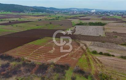 Çanakkale Biga Kocagür Köyünde Satılık 6.500 m2 Fırsat Tarla!!!
