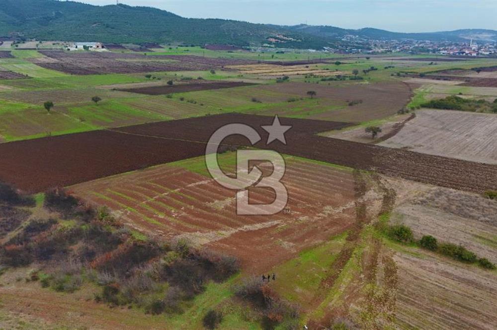 Çanakkale Biga Kocagür Köyünde Satılık 6.500 m2 Fırsat Tarla!!!