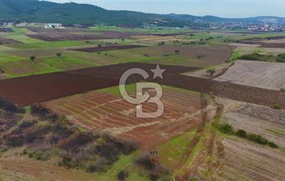 Çanakkale Biga Kocagür Köyünde Satılık 6.500 m2 Fırsat Tarla!!!