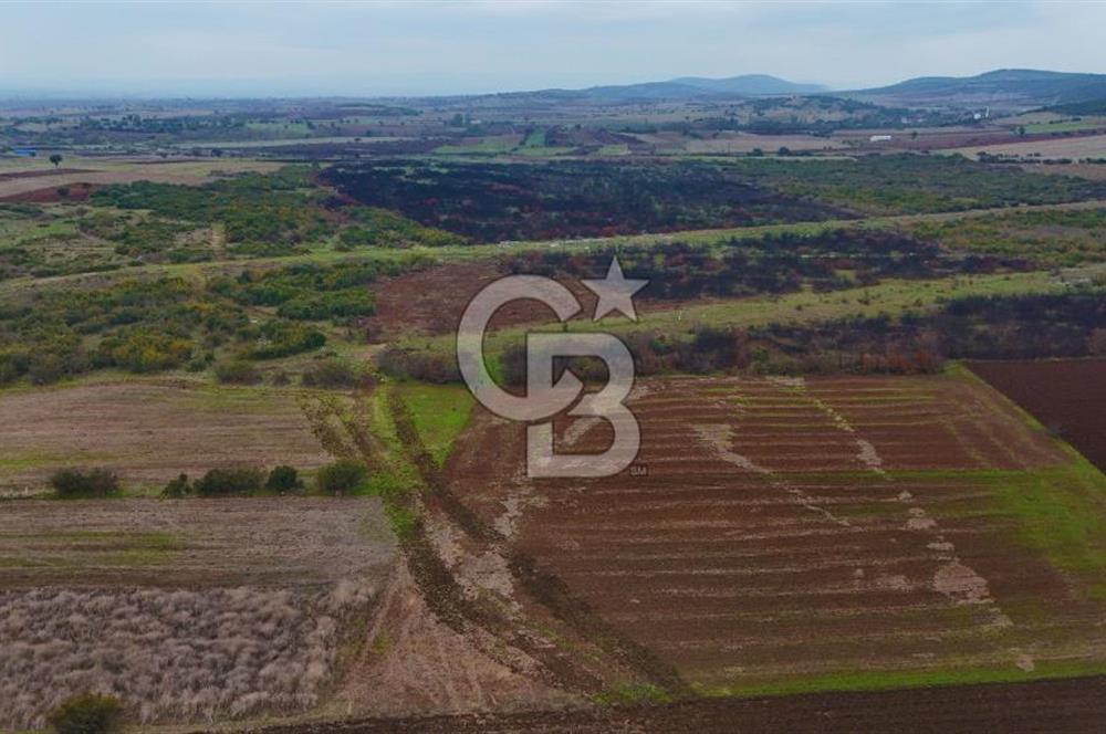 Çanakkale Biga Kocagür Köyünde Satılık 6.500 m2 Fırsat Tarla!!!