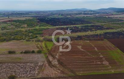 Çanakkale Biga Kocagür Köyünde Satılık 6.500 m2 Fırsat Tarla!!!