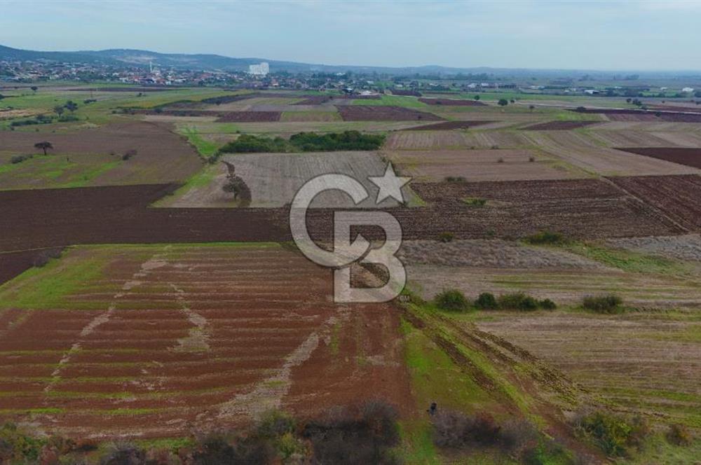 Çanakkale Biga Kocagür Köyünde Satılık 6.500 m2 Fırsat Tarla!!!