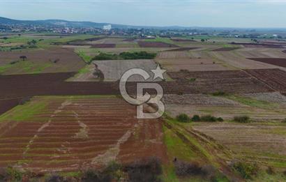 Çanakkale Biga Kocagür Köyünde Satılık 6.500 m2 Fırsat Tarla!!!