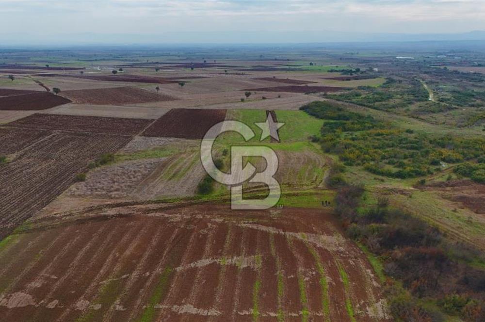 Çanakkale Biga Kocagür Köyünde Satılık 6.500 m2 Fırsat Tarla!!!