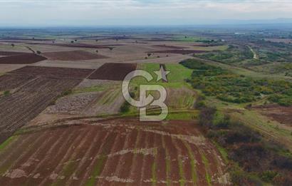 Çanakkale Biga Kocagür Köyünde Satılık 6.500 m2 Fırsat Tarla!!!