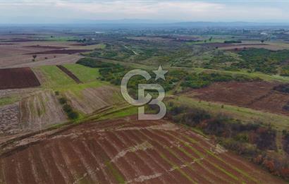 Çanakkale Biga Kocagür Köyünde Satılık 6.500 m2 Fırsat Tarla!!!