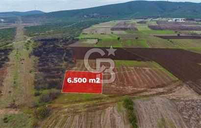 Çanakkale Biga Kocagür Köyünde Satılık 6.500 m2 Fırsat Tarla!!!