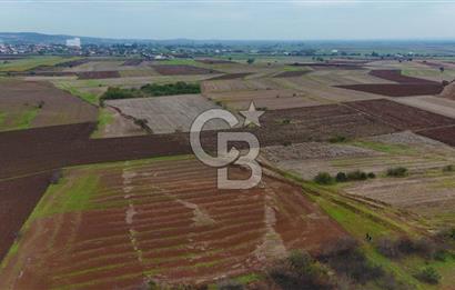 Çanakkale Biga Kocagür Köyünde Satılık 6.500 m2 Fırsat Tarla!!!