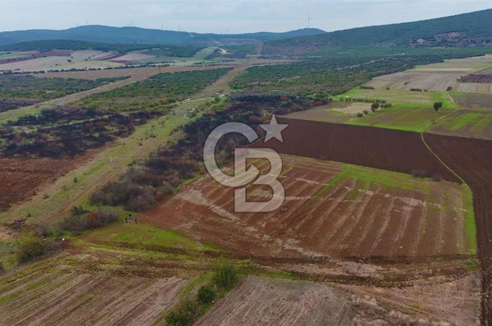 Çanakkale Biga Kocagür Köyünde Satılık 6.500 m2 Fırsat Tarla!!!