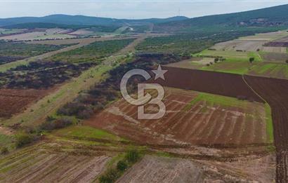 Çanakkale Biga Kocagür Köyünde Satılık 6.500 m2 Fırsat Tarla!!!