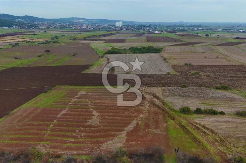 Çanakkale Biga Kocagür Köyünde Satılık 6.500 m2 Fırsat Tarla!!!