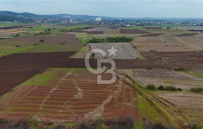 Çanakkale Biga Kocagür Köyünde Satılık 6.500 m2 Fırsat Tarla!!!