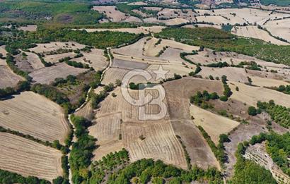 Çanakkale Biga Kocagür Köyünde Satılık 6.500 m2 Fırsat Tarla!!!